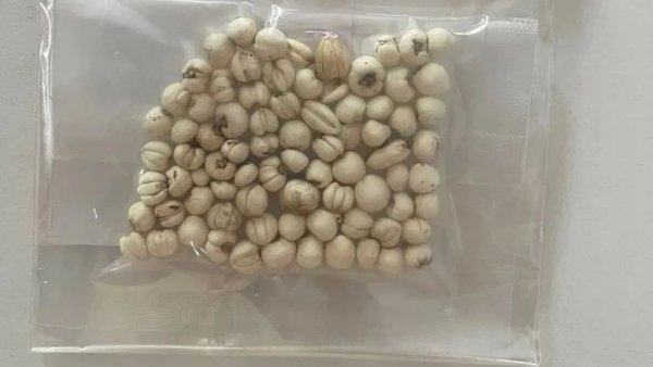 114配资网 7500元一斤！煲糖水成本这么高了？