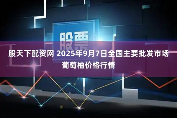 股天下配资网 2025年9月7日全国主要批发市场葡萄柚价格行情
