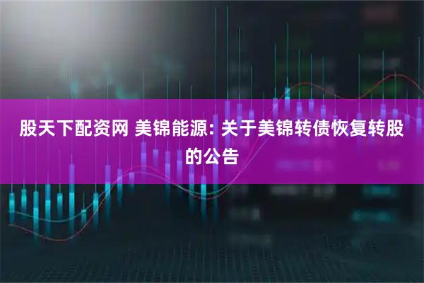 股天下配资网 美锦能源: 关于美锦转债恢复转股的公告
